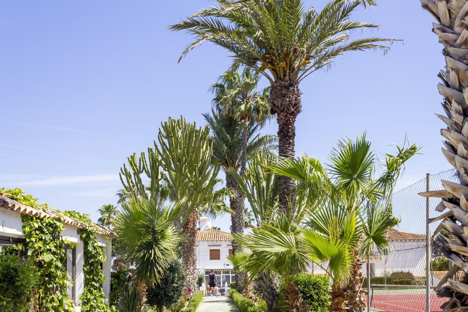 Bungalow Pink Palm Beach Torrevieja Dış mekan fotoğraf